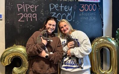 Orlando Cat Cafe Featured in Corporate Wire as Franchise Interest Surges Nationwide