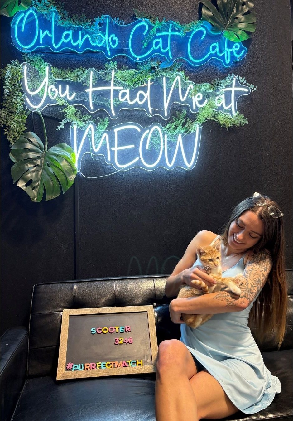 An adopter cuddling her new cat beneath the café's neon sign